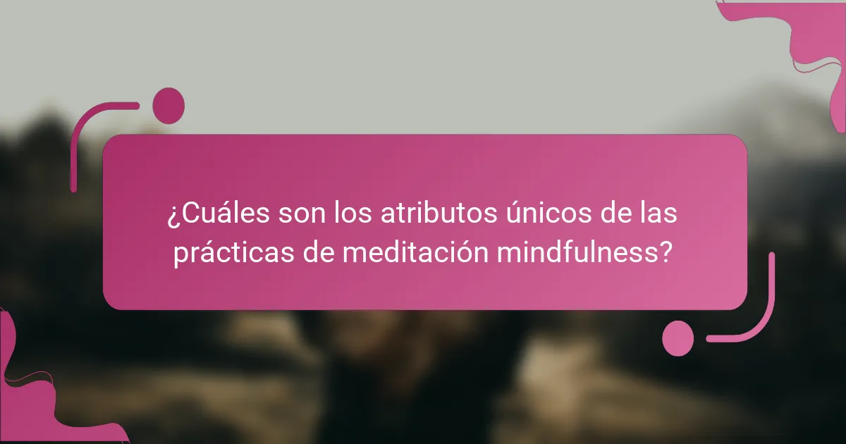 ¿Cuáles son los atributos únicos de las prácticas de meditación mindfulness?